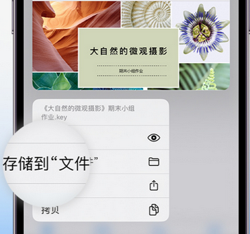 昌黎apple维修中心分享iPhone文件应用中存储和找到下载文件