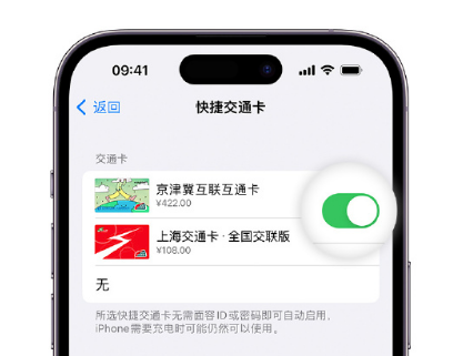 昌黎apple维修点分享iPhone上更换Apple Pay快捷交通卡手绘卡面 