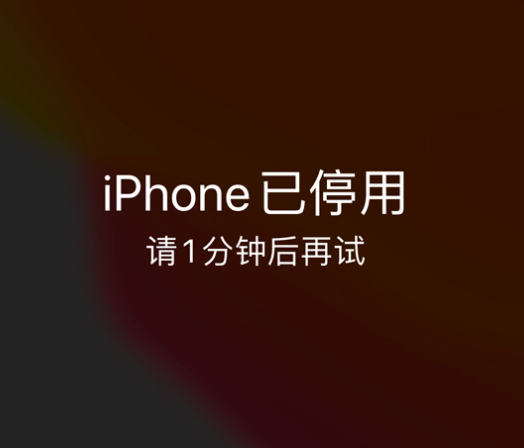 昌黎苹果手机维修分享:iPhone 显示“不可用”或“已停用”怎么办？还能保留数据吗？ 