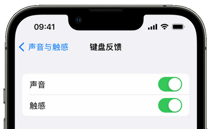 昌黎苹果手机维修分享iPhone 14触感键盘使用方法 