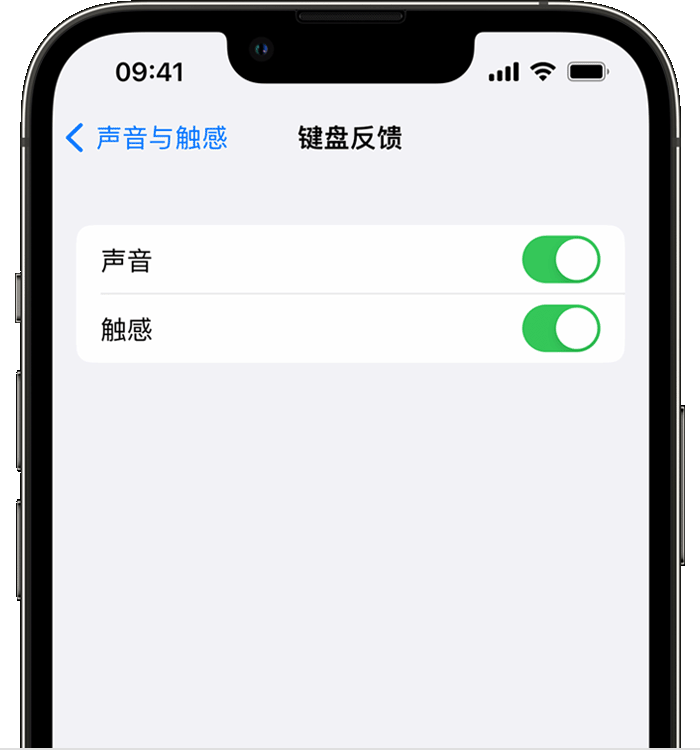 昌黎苹果14维修店分享如何在 iPhone 14 机型中使用触感键盘 