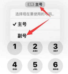 昌黎苹果14维修店分享iPhone 14 Pro Max使用副卡打电话的方法 