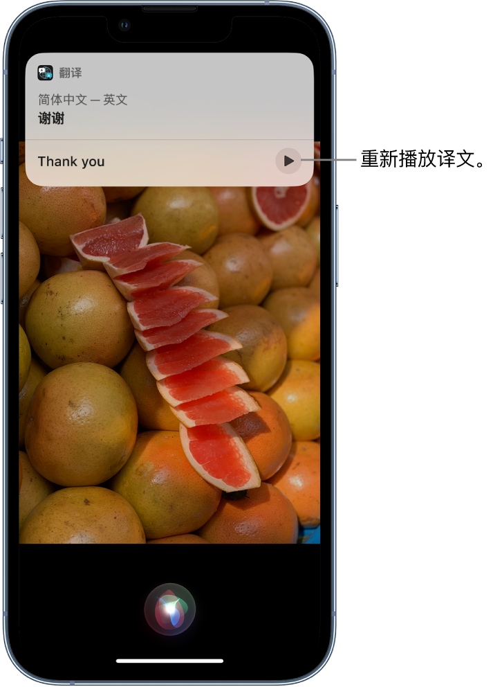 昌黎苹果14维修分享 iPhone 14 机型中使用 Siri：了解 Siri 能帮你做什么 