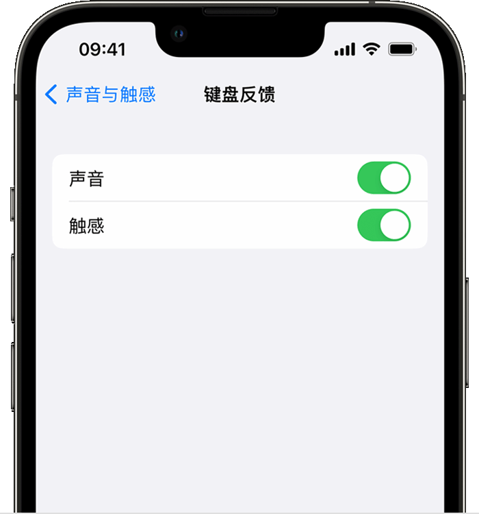 昌黎苹果14维修分享iPhone 14 系列机型如何开启键盘声音或触感反馈 