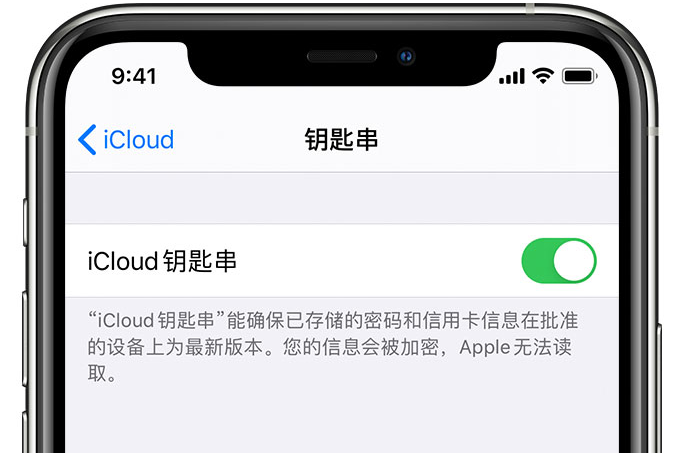昌黎苹果手机维修分享在 iPhone 上开启 iCloud 钥匙串之后会储存哪些信息 