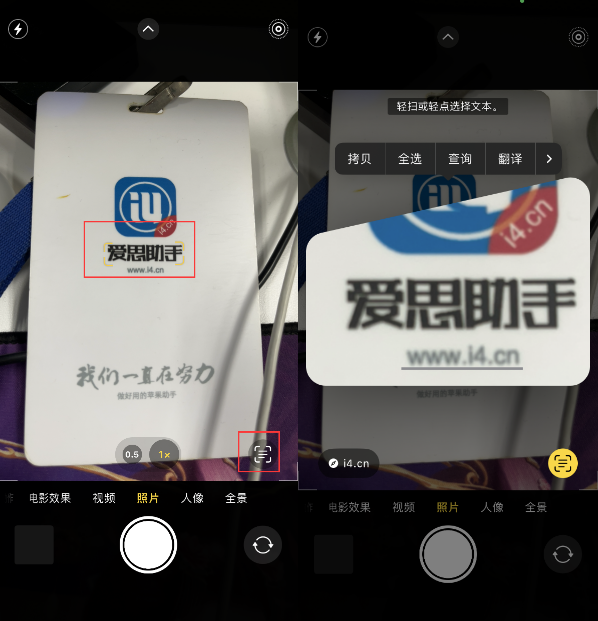 昌黎苹果手机维修分享升级iOS 16后如何通过相机翻译文本 