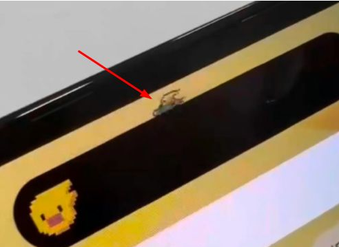 昌黎苹果14维修分享iPhone 14 Pro Max灵动岛怎么养宠物 
