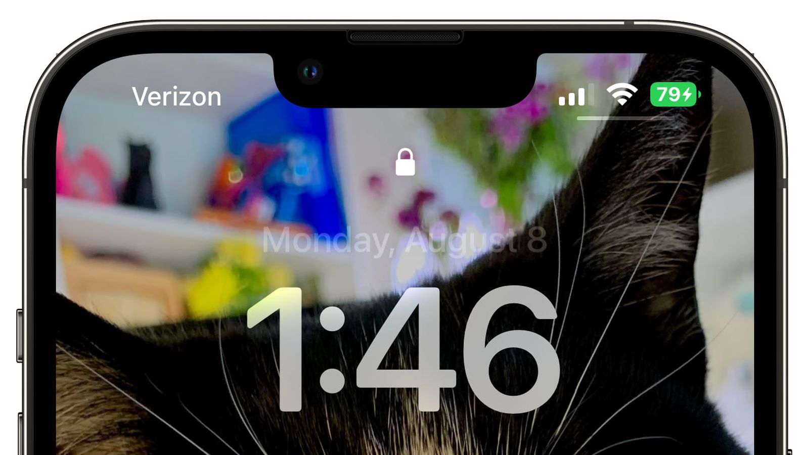 昌黎苹果手机维修分享iOS 16 beta 5 支持状态栏显示电池百分比，如何开启？支持哪些机型 