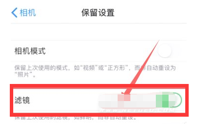 昌黎苹果13维修分享iPhone13拍照有绿点是怎么回事 