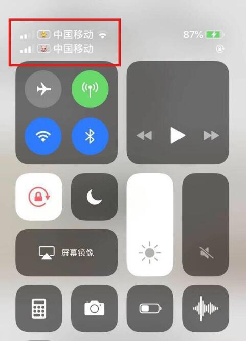 昌黎苹果手机维修分享为 iPhone 12 双卡设置标签 